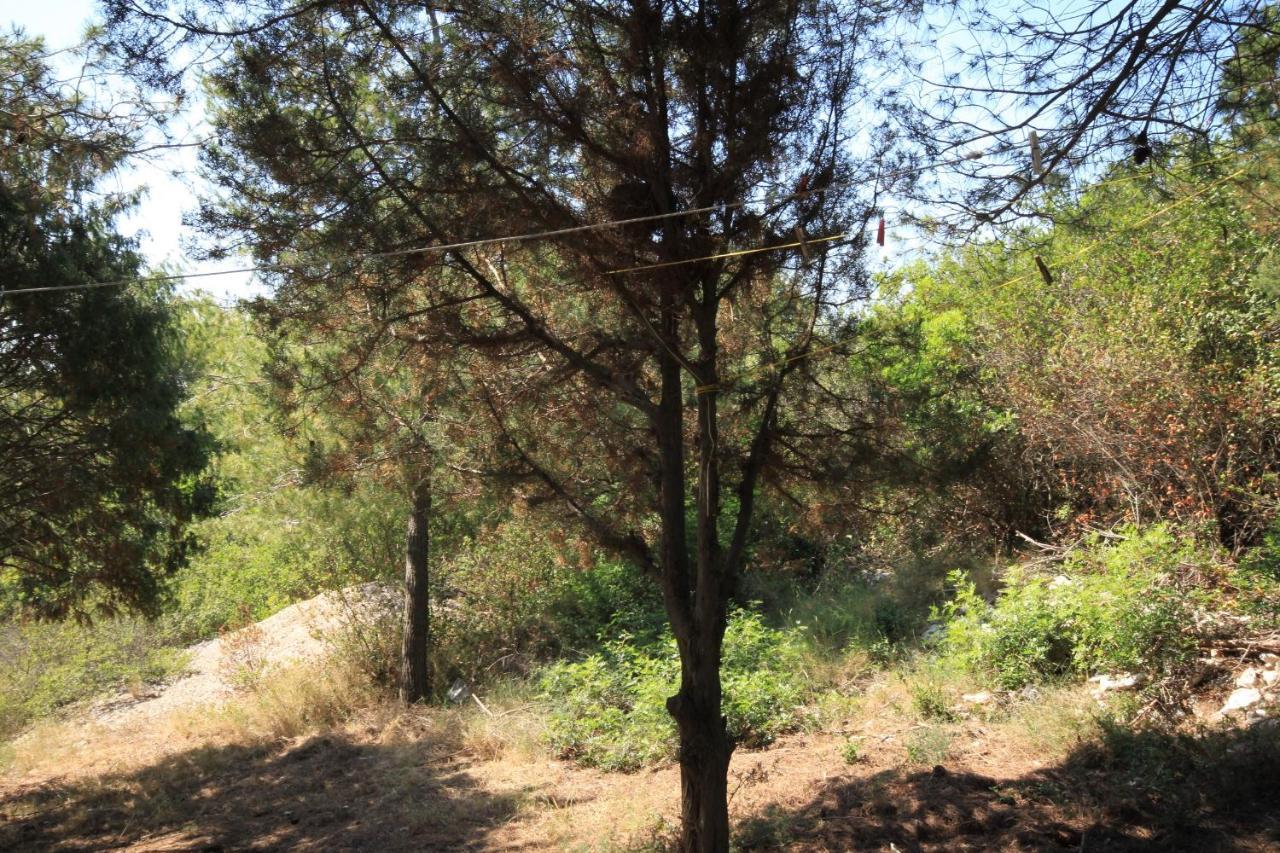 Secluded Fisherman'S Cottage Cove Ripisce, Dugi Otok - 394 Brbinj 外观 照片